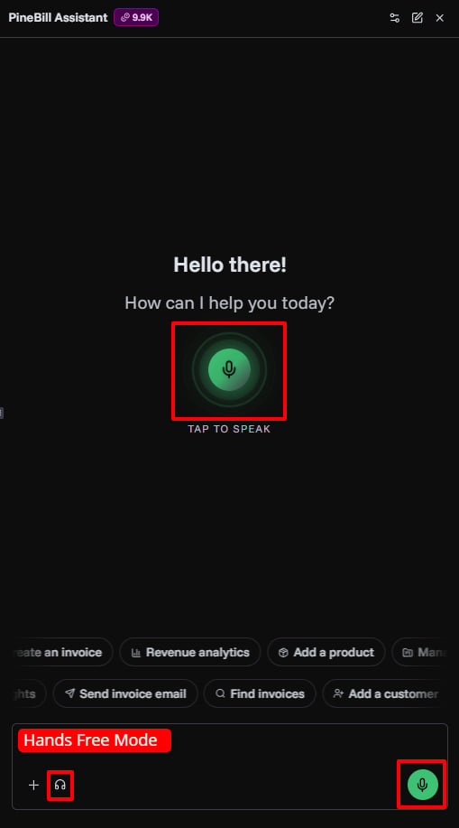Voice input controls in PineBill Assistant
